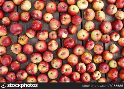 Many Fresh red apples background. harvest concept. Many Fresh red apples background. harvest concept.