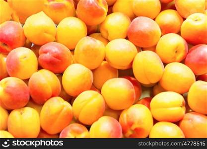 Many fresh ripe apricots on farm market. Fruit background