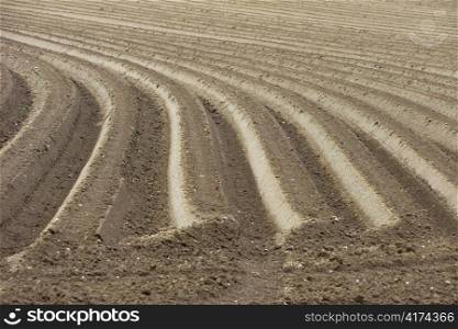 many furrows in the earth on a money