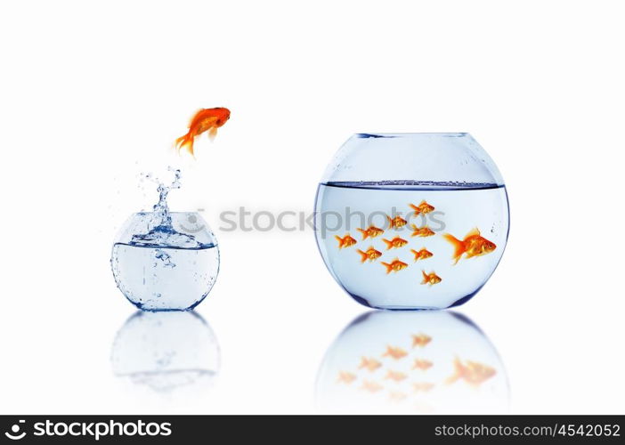 many gold fish together as symbol of teamwork