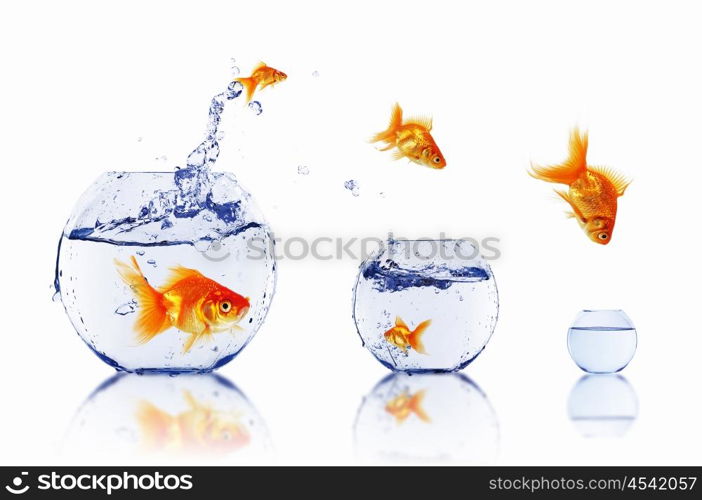 many gold fish together as symbol of teamwork