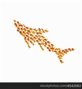 many gold fish together as symbol of teamwork