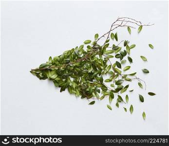 Many green leaves represented in form of bush. Decoration of background in form of bush over white background.. Green bush over white