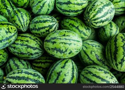 many green sweet watermelon group