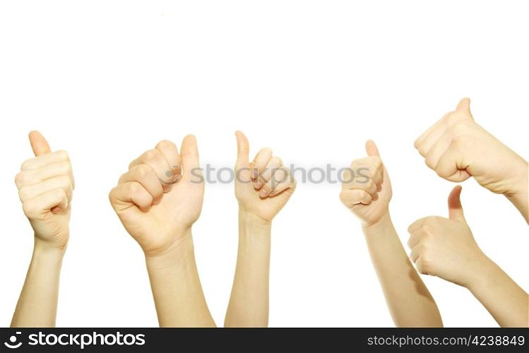 Many hand lifted up on white background