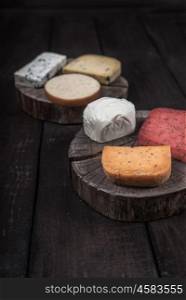 many kinds of cheeses on wooden end of a tree