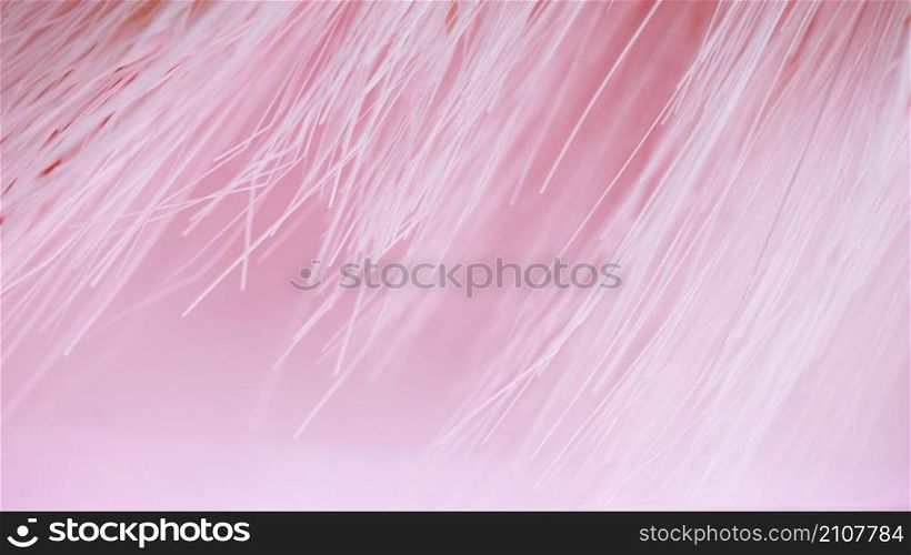 many light fibers pinkness