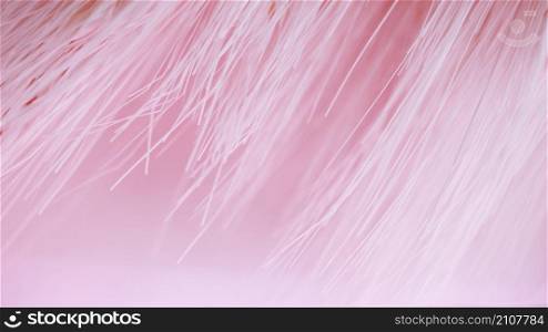 many light fibers pinkness