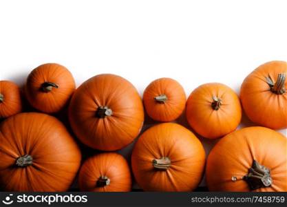 Many orange pumpkins isolated on white background, border frame, Halloween concept. Many orange pumpkins