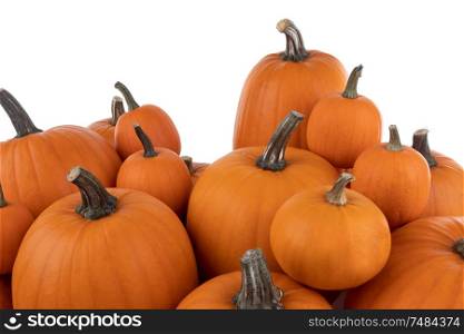 Many orange pumpkins isolated on white background corner composition, Halloween holiday concept. Many pumpkins background