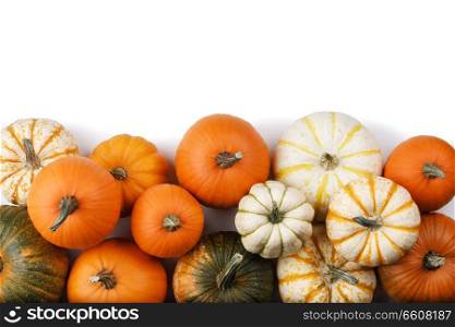 Many orange pumpkins isolated on white background , Halloween concept. Many Pumpkins on white