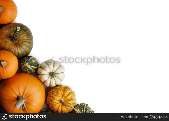 Many orange pumpkins isolated on white background , Halloween concept , top view with copy space. Pumpkins on white background