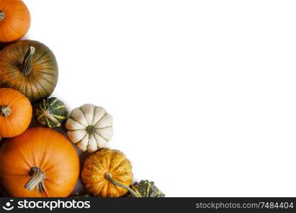 Many orange pumpkins isolated on white background , Halloween concept , top view with copy space. Pumpkins on white background
