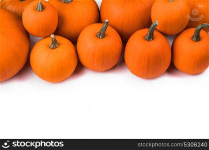 Many orange pumpkins. Many orange pumpkins frame isolated on white background, autumn harvest, Halloween or Thanksgiving concept
