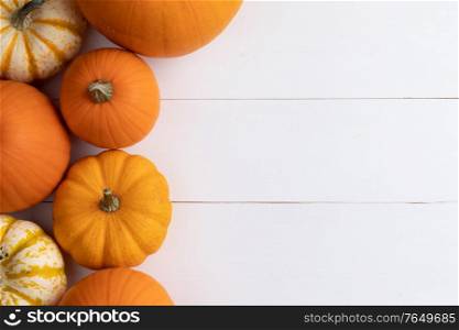 Many orange pumpkins on white wooden background , Halloween concept , top view with copy space. Pumpkins on wooden background