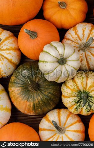 Many orange pumpkins on wooden background, Halloween concept. Pumpkins on wooden background