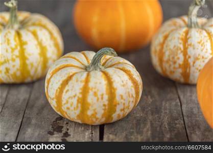 Many orange pumpkins on wooden background , Halloween or Thanksgiving day concept. Pumpkins on wooden background