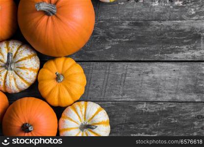 Many orange pumpkins on wooden background with copy space, autumn harvest, Halloween or Thanksgiving concept. Pumpkins on wooden background