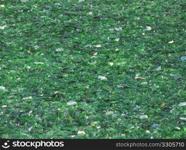 many pieces of broken glass in green