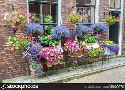 Many pottery flowers hanging at brick wall in summer season