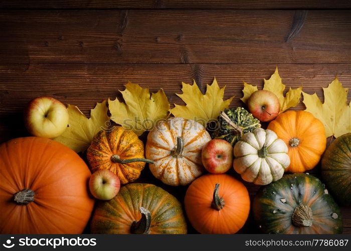 Many pumpkins and maple leaves on dark wooden background, Halloween concept. Pumpkins on wooden background