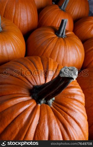 Many pumpkins background, autumn market, fall holidays Thanksgiving Halloween. Many pumpkins background