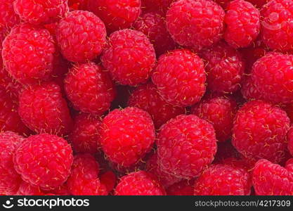 Many red raspberries.