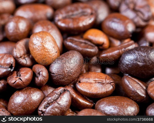 many roasted coffee beans close up