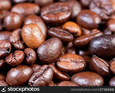 many roasted coffee beans close up
