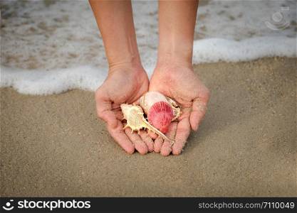 Many shells on woman&rsquo;s hands.