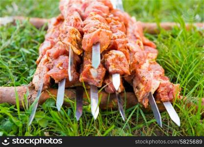 Many skewers with raw shish kebab preparing for carbecue on green grass