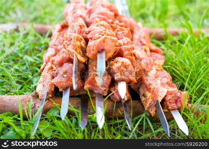Many skewers with raw shish kebab preparing for carbecue on green grass