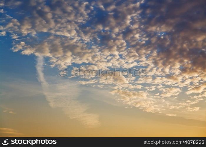 many small clouds in dark yellow and blue sunset sky in early morning