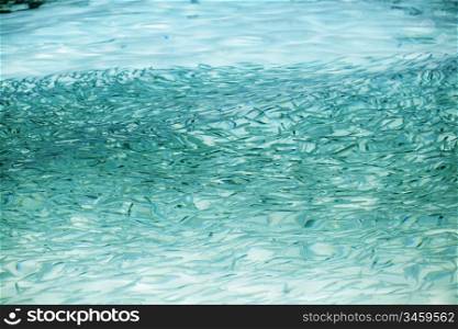 many small fish in the clear water of the ocean
