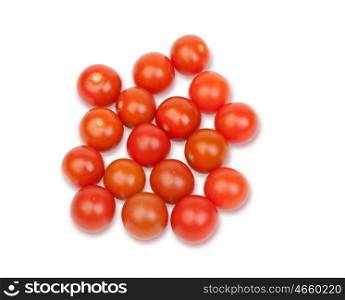 Many small tomatoes isolated on white background