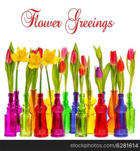 many tulip and narcissus flowers in colorful glass vases on white background with sample text Flower Greetings