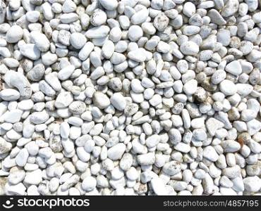 Many white pebbles as background&#xD;&#xA;
