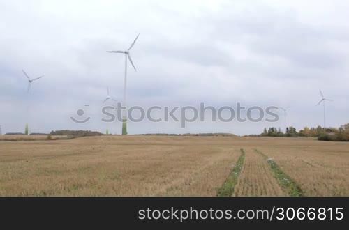 Many wind turbines in the field. Green energy.