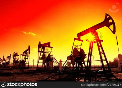 many working oil pumps silhouette in row against sun