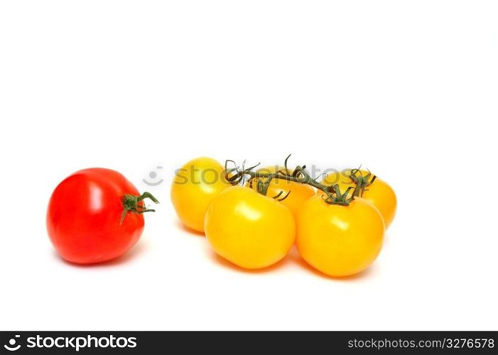 Many yellow tomatoes with one red tomato by itself isolated on a white background. Red And Yellow Tomato