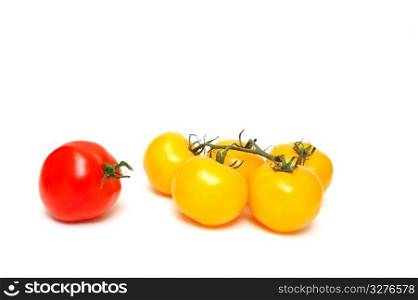 Many yellow tomatoes with one red tomato by itself isolated on a white background. Red And Yellow Tomato