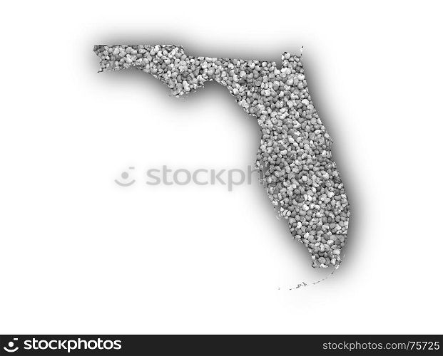 Map of Florida on poppy seeds
