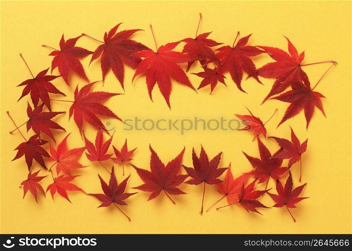 Maple leaf frame