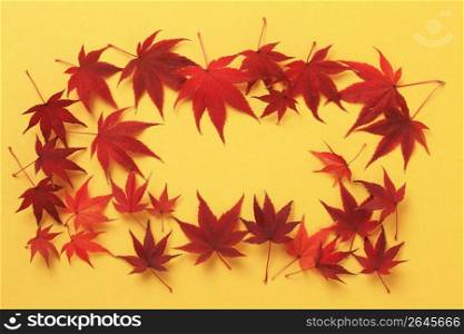 Maple leaf frame