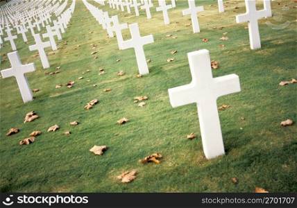 Maple leaves and crosses in graveyard