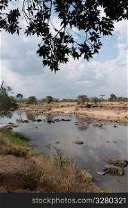 Mara River in Kenya