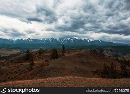 Maral in Kurai steppe and North-Chui ridge of Altai mountains, Russia. Cloud day.. Maral in Kurai steppe
