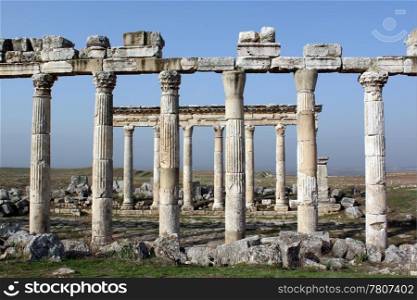 Marble columns on the street in Apamea, Syria