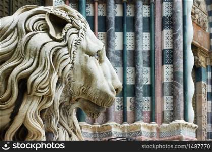 Marble lion&rsquo;s head - Statue at the entrance of The San Lorenzo Cathedral in Genoa (Genova), Italy. Space for text