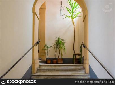 Marble stairs with plants and a wooden chair